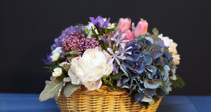 教师节送绿植，送出心意滋养（关爱教师健康）