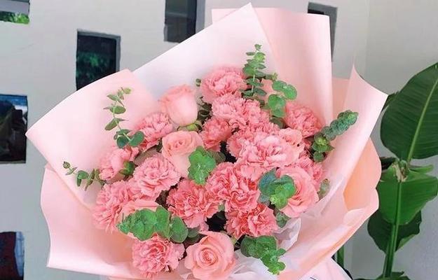 代表生日祝福的花（让代表感受关怀与温暖）
