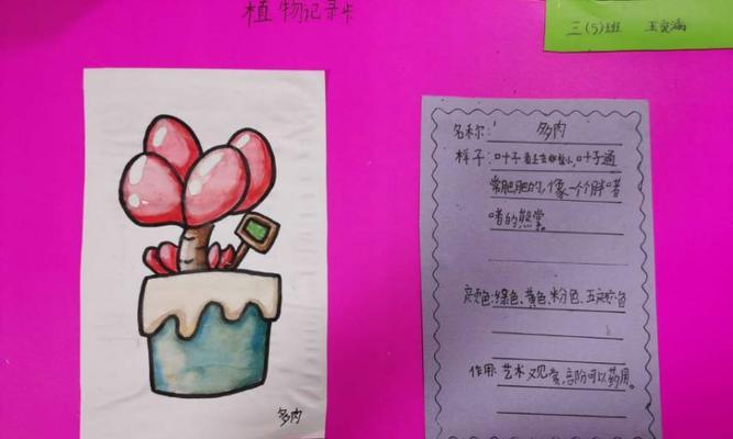 碰碰香的种植方法和栽种时间（学会这几步）
