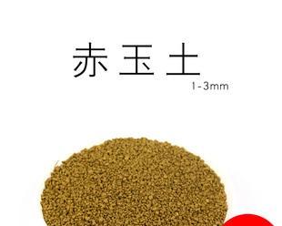 红玉土——大自然赐予的宝藏（揭秘红玉土的作用和功效）