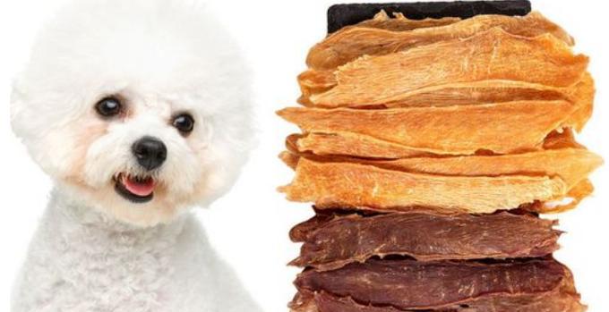 宠物狗是否适合食用萝卜（了解萝卜的营养价值与狗狗的饮食需求）