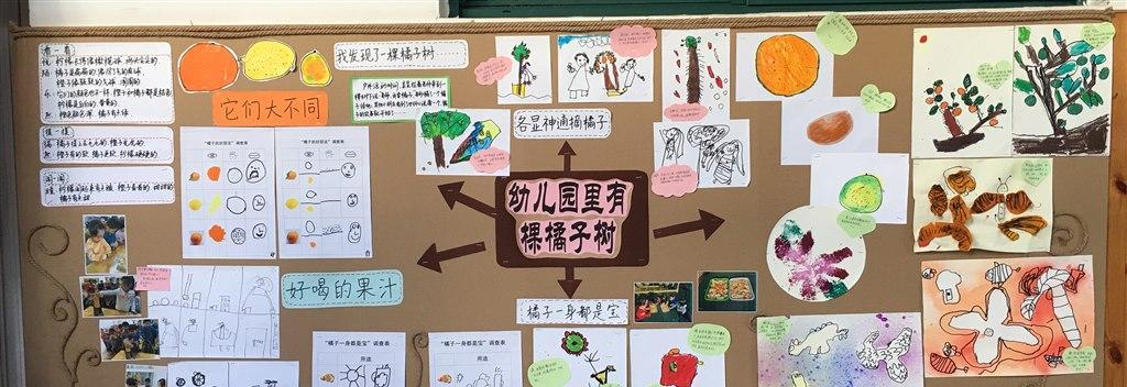 揭秘丑橘采摘时间和收获季节（从果树生长到果实成熟）