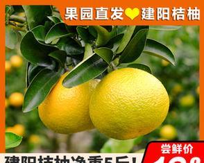 会昌桔柚的甜度是多少？如何挑选最甜的桔柚？