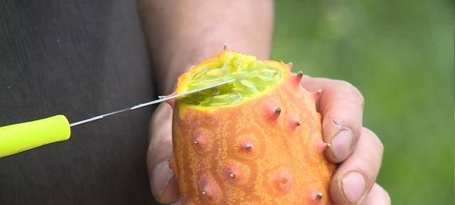 火参果皮可以吃吗？食用火参果皮的正确方法是什么？