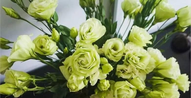 洋桔梗花的花语是什么意思？洋桔梗寓意象征有哪些？