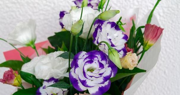 洋桔梗花的花语是什么意思？洋桔梗寓意象征有哪些？