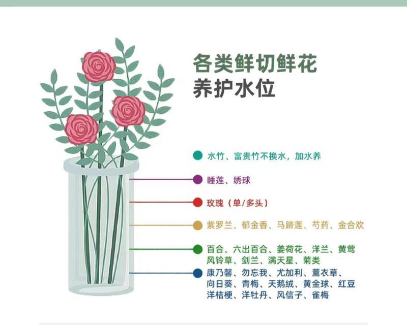 火棘上盆的最佳时间是什么时候？如何正确养护火棘？