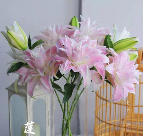 百合花象征着什么？百合花的含义和用途有哪些？