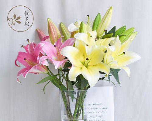 三种颜色百合花的含义是什么？它们相配代表了什么意义？
