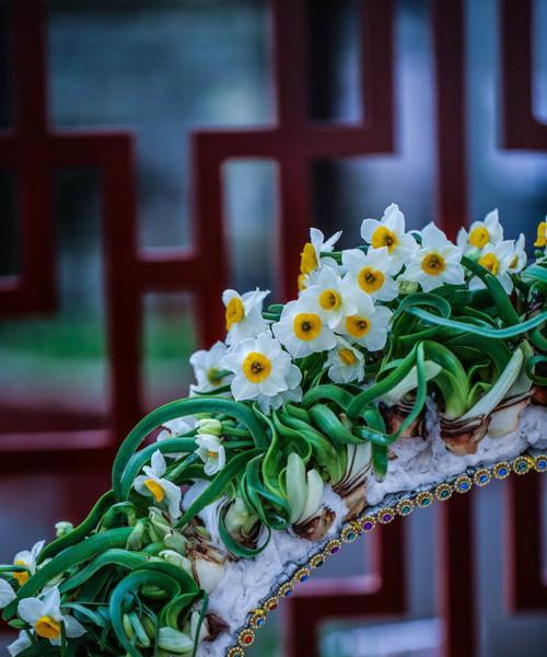 水仙恋的含义是什么？水仙恋背后的故事有哪些？