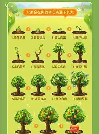 吉娃莲配土方法是什么？种植土壤选择有哪些建议？