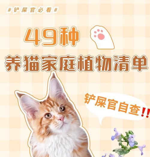 猫咪对哪些植物过敏？如何避免宠物接触有害植物？