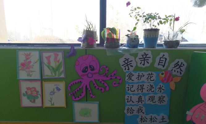 小鸽子放植物需要注意什么？
