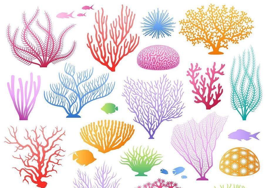 海洋植物怎么画？有哪些绘画技巧？
