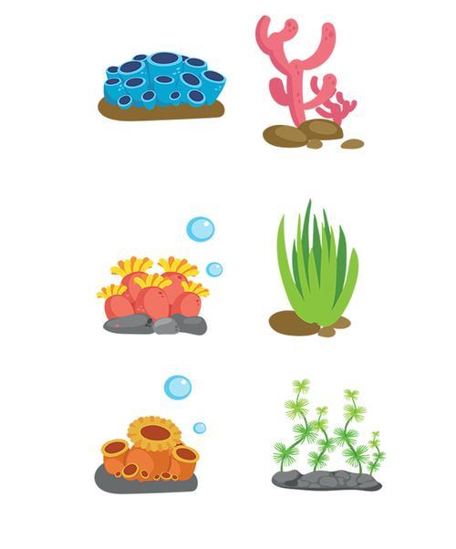 海洋植物怎么画？有哪些绘画技巧？