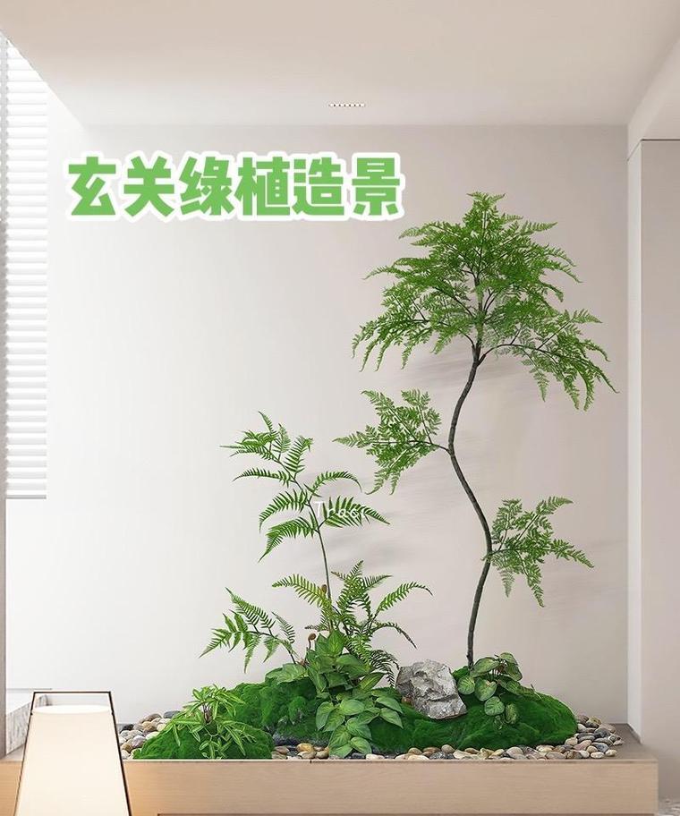 入门玄关适合摆放哪些花卉摆饰品？