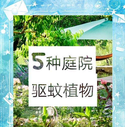 哪些植物具有驱蚊虫的效果？如何利用这些植物来驱赶蚊虫？