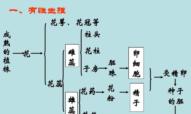 植物的花果种子有哪些种类？它们的繁殖方式有何不同？