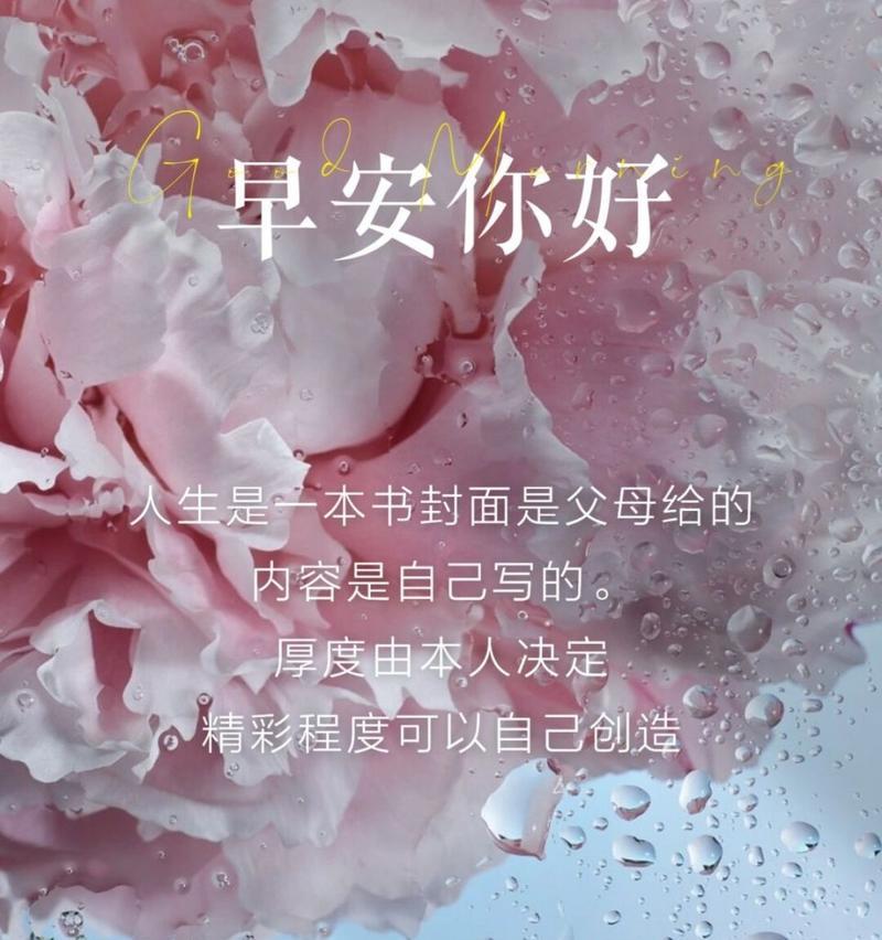芍药的花语代表什么？