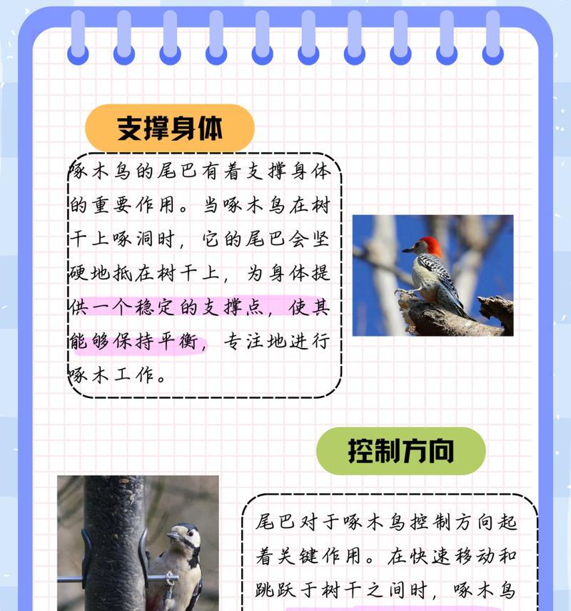 啄木鸟组合农药的含义是什么？