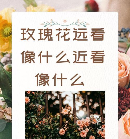 大朵金色玫瑰花的寓意是什么？金色玫瑰花象征着什么？