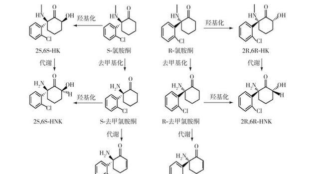 农药拮抗药物是什么意思？这种药物的作用机制是什么？