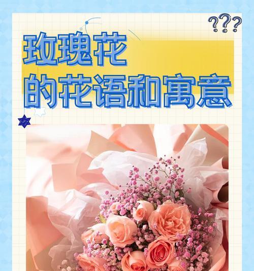 餐桌插花玫瑰花的寓意是什么？玫瑰花在餐桌上的象征意义是什么？