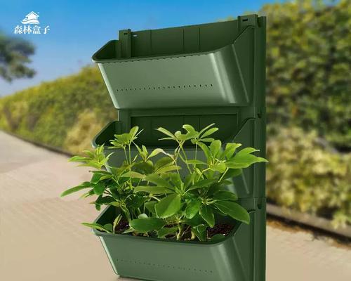 养植物用什么容器？哪种容器更适合？