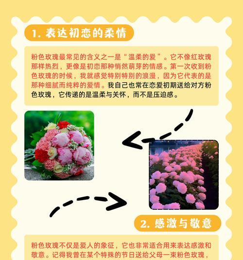 “坠入粉色玫瑰的世界”这句话的含义是什么？粉色玫瑰的花语是什么？