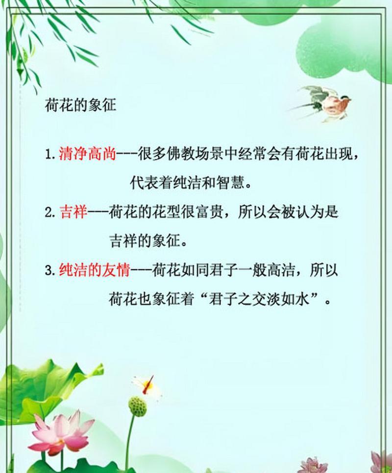 荷花的花语有哪些？它们通常代表了什么？