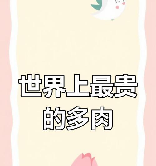 哪些多肉植物价格昂贵？它们为何如此珍贵？