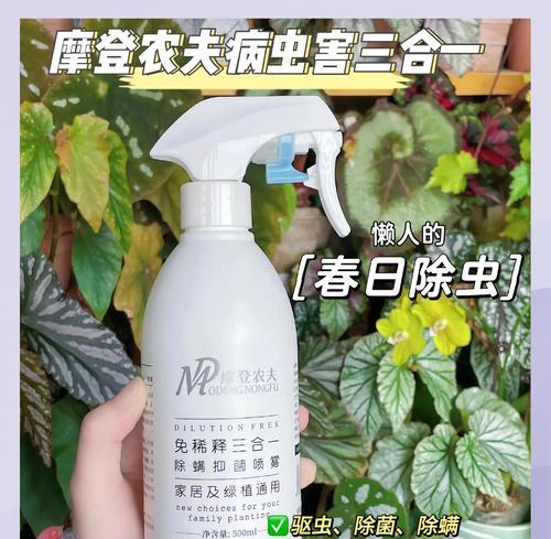 花卉除虫自配药水有哪些？如何正确使用？