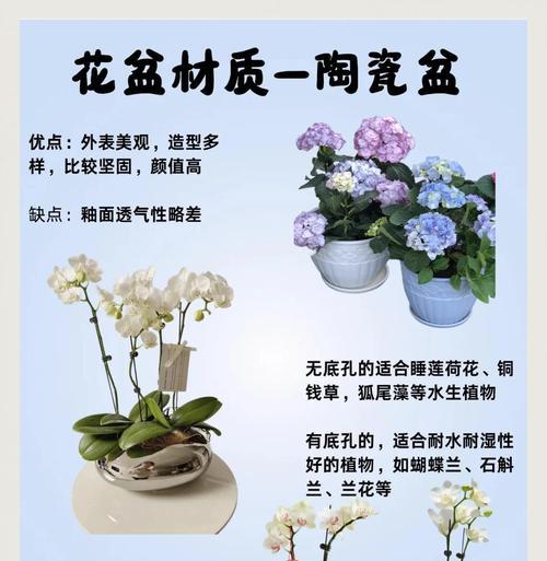 漂亮花盆如何选择？透气性好的花盆推荐？