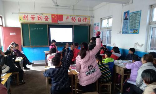 禅意花园中植物搭配有哪些原则？如何营造和谐氛围？