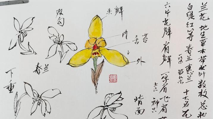 禅意花园中植物搭配有哪些原则？如何营造和谐氛围？