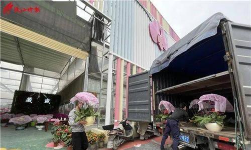 花卉物流什么意思？花卉运输行业有哪些特点？
