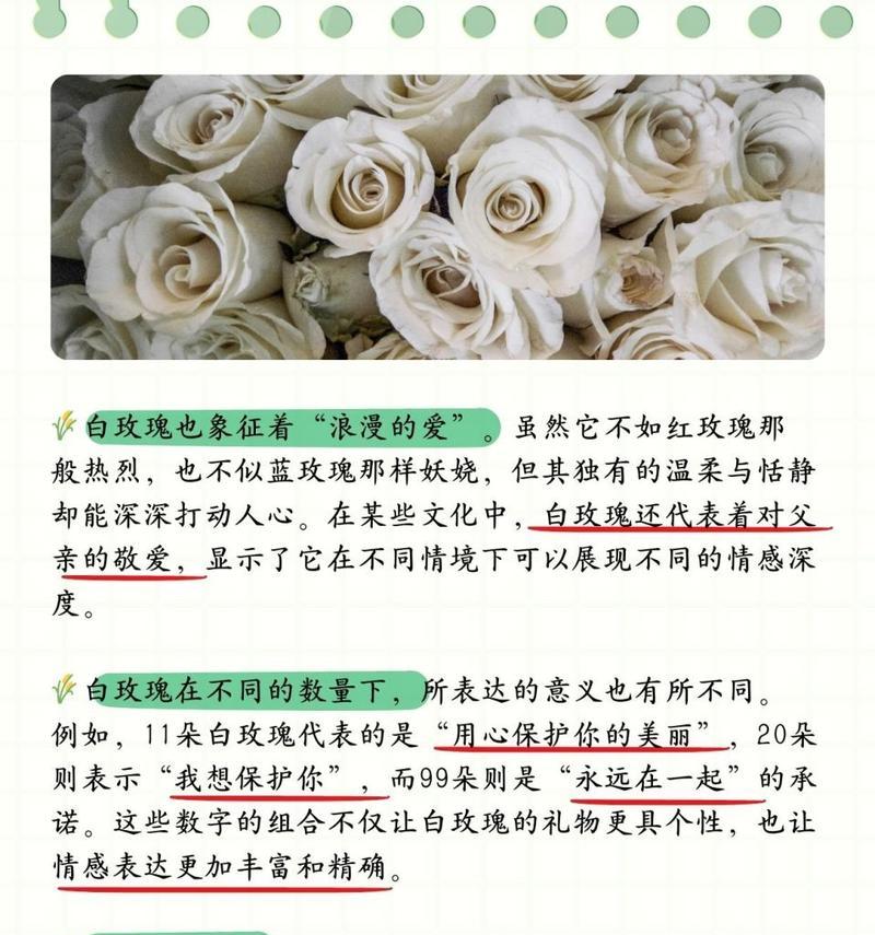 玫瑰花送给妈妈有何意义？这代表了怎样的情感？