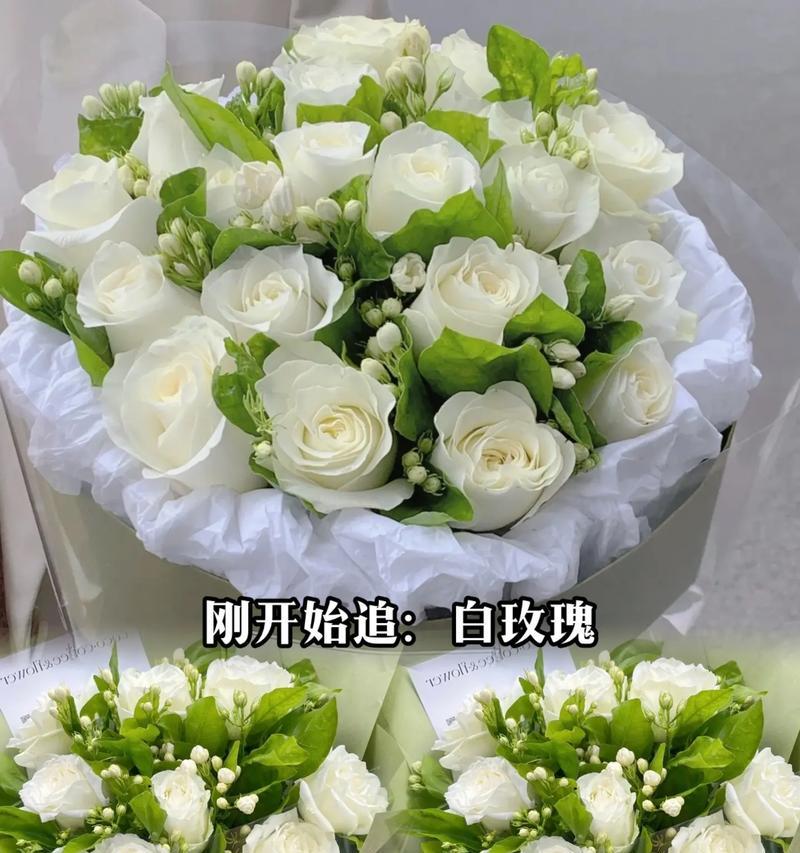 白绿色手捧花中的白玫瑰有何意义？它传递了怎样的信息？