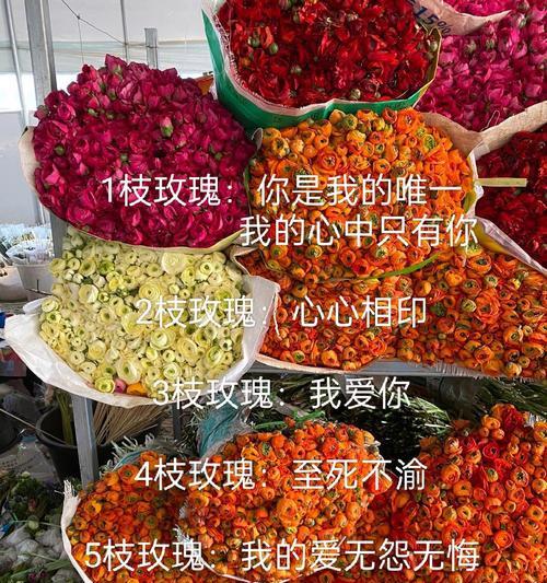 教堂顶撒玫瑰花有何特别意义？