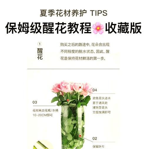 夏天插切花玫瑰花要注意什么？如何延长花期？