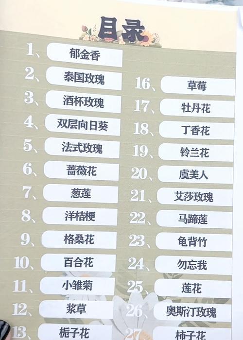玫瑰花最后一个花瓣有多少针？花瓣针数对玫瑰花有何意义？