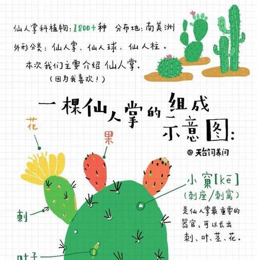大树苗仙人掌的种植步骤是什么？