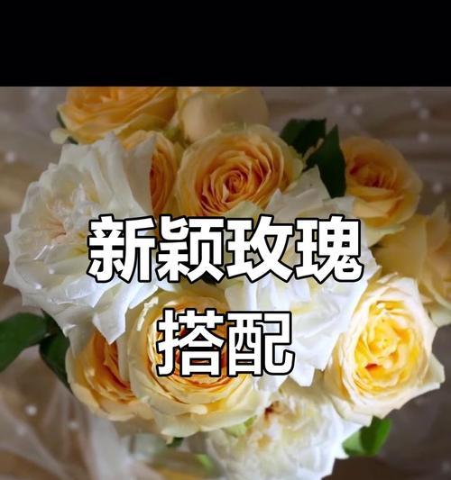 玫瑰花插花技巧有哪些？