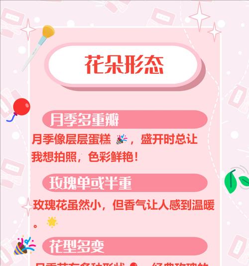 玫瑰花与月季花的区别在哪里？