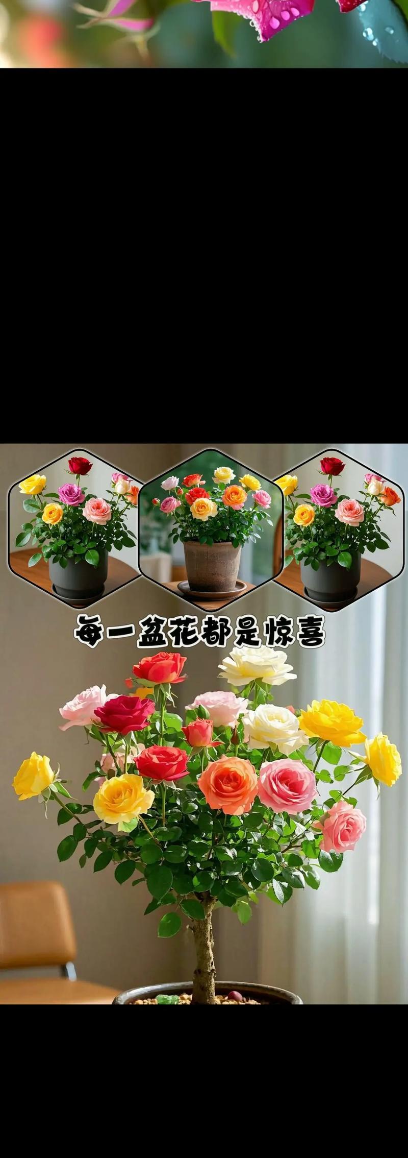 如何快速让玫瑰花假花插出开花效果？