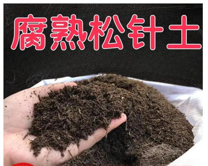 君子兰和兰花的土壤有何不同？各自需要什么样的土质？