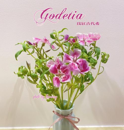 哪种玫瑰花品种损耗最小？如何挑选和养护以减少损耗？