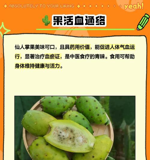 仙人掌果的养护和管理方法是什么？如何确保其健康？
