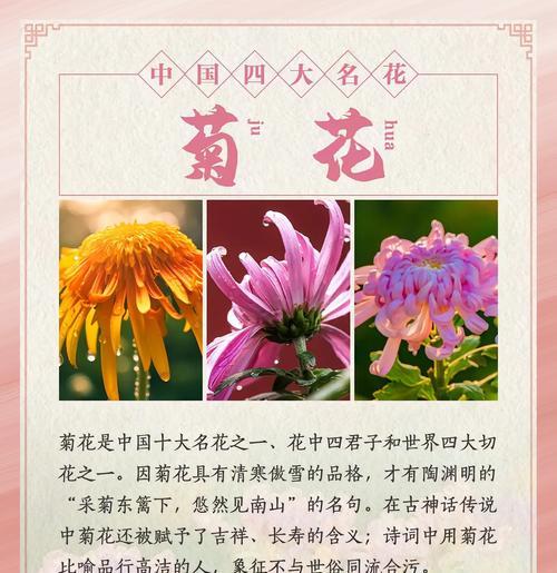 四月牡丹花无花苞预示着什么？