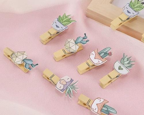 制作仙人掌花盆的快速方法是什么？需要哪些工具？